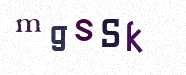 Visual Confirmation Security Code